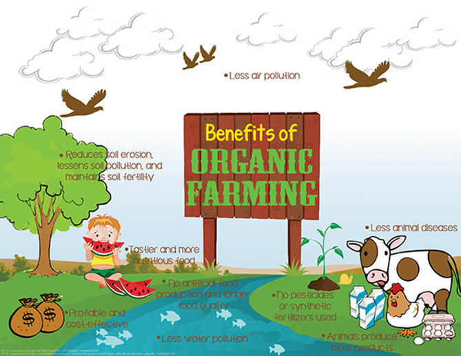 The benefits of organic farming